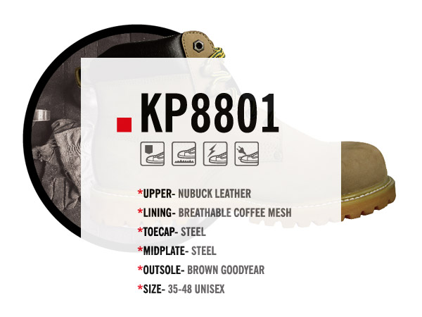 KP8801